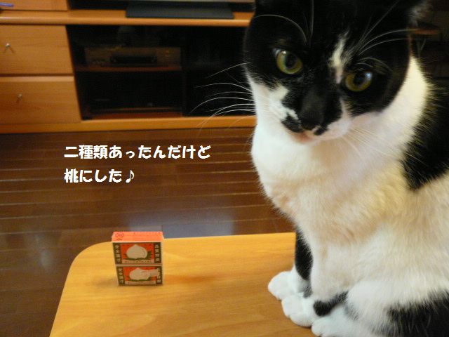 e0094407_2305251.jpg