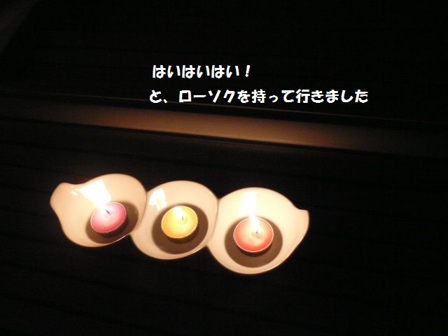 e0094407_2320484.jpg