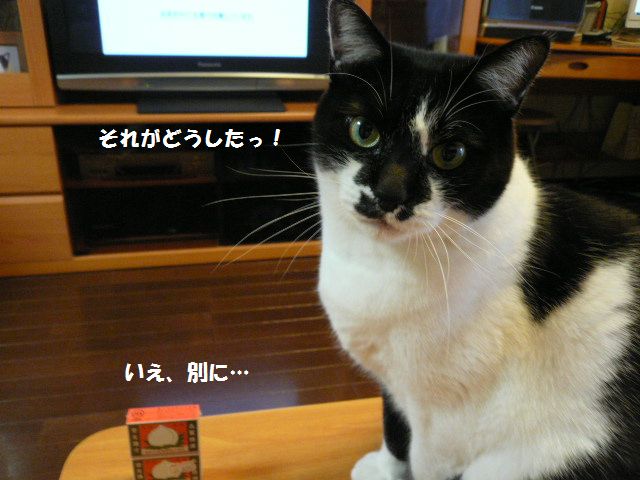 e0094407_235099.jpg