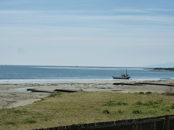d0103511_1450764.gif
