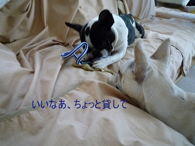 b0207912_17401210.jpg