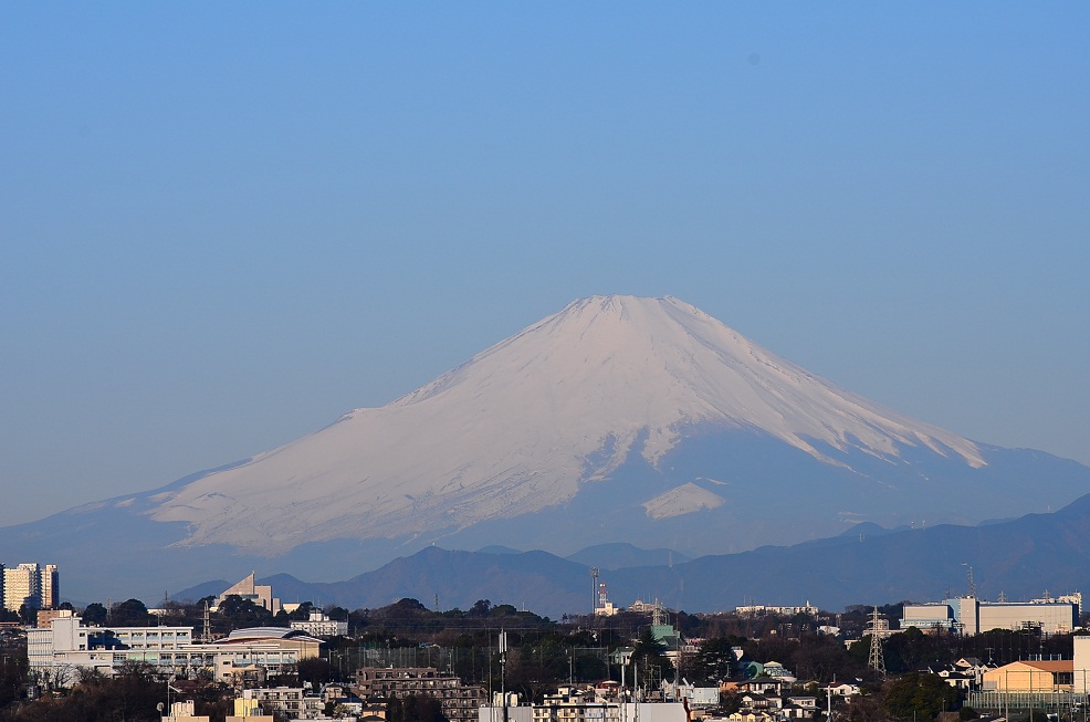 a0151913_74841.jpg