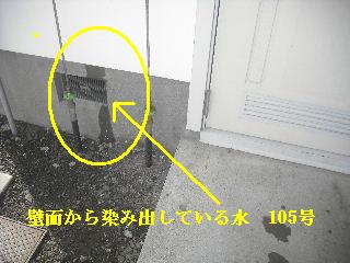 仕入れと巡回_f0031037_1659433.jpg