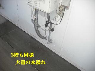 仕入れと巡回_f0031037_173834.jpg