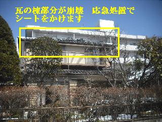 仕入れと巡回_f0031037_1752742.jpg