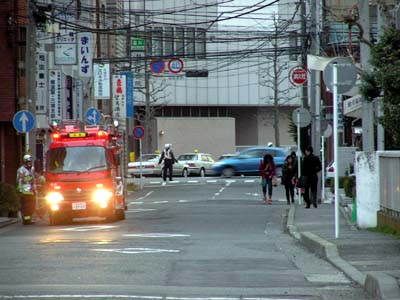 f0147840_1159930.jpg