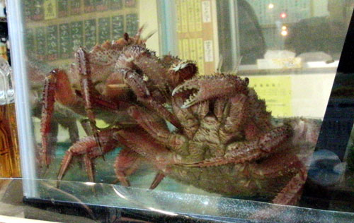 c0105249_19501179.jpg