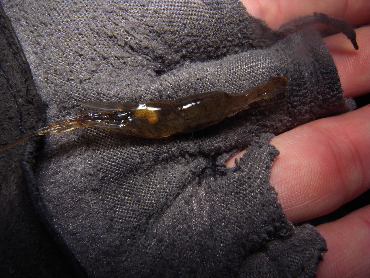 c0153951_272016.jpg