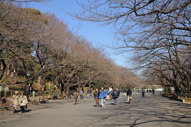 久しぶりの動物園_c0081462_20571977.jpg