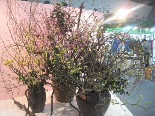全国陶磁器フェアIN福岡 二日目終了。_d0195183_2243341.jpg