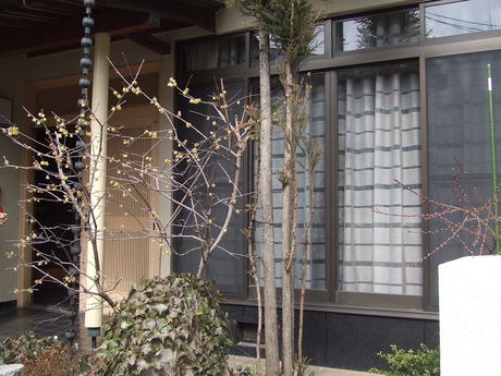 神辺町Sさま邸 シックモダンに変身!_f0196294_20272513.jpg