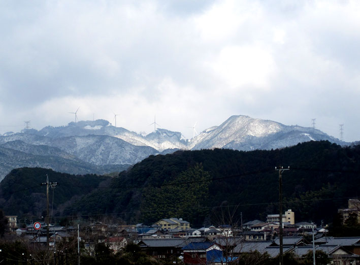 枯れ木に花_b0145296_9344675.jpg