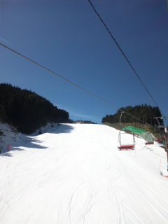 a0149502_2224577.jpg