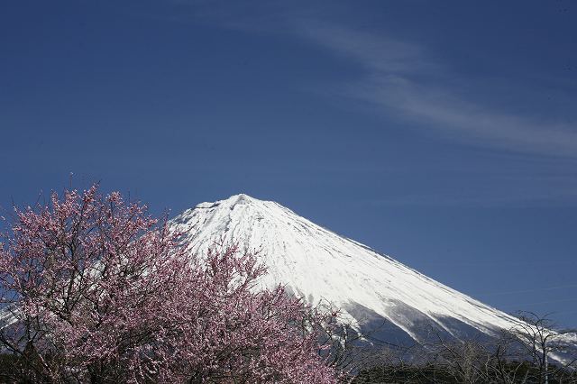 a0188405_9131370.jpg