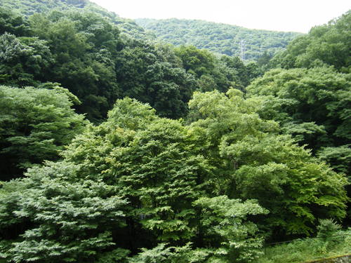 c0118715_23342292.jpg