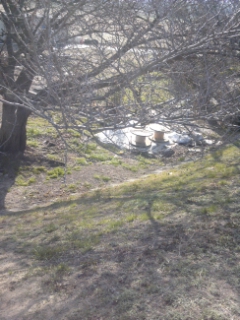 c0034228_0181062.jpg