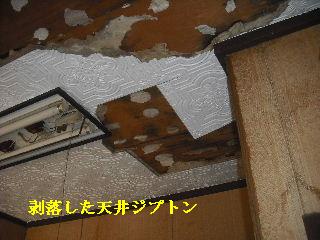 f0031037_2062584.jpg