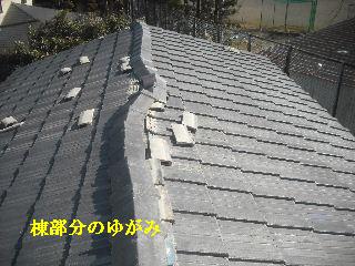 f0031037_207246.jpg
