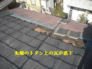 f0031037_2082240.jpg