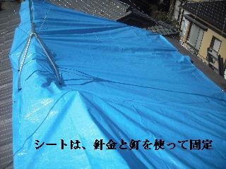 f0031037_208571.jpg