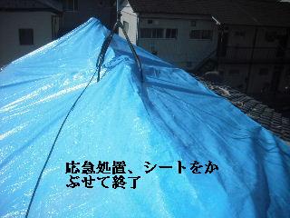 f0031037_2093787.jpg