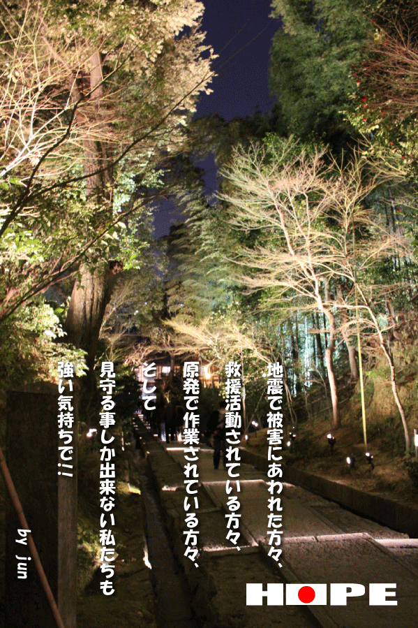 d0227044_014086.gif