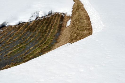 c0093046_8572079.jpg