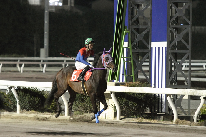 倉兼育康騎手、地方通算勝利1200勝達成！！_a0077663_22143831.jpg