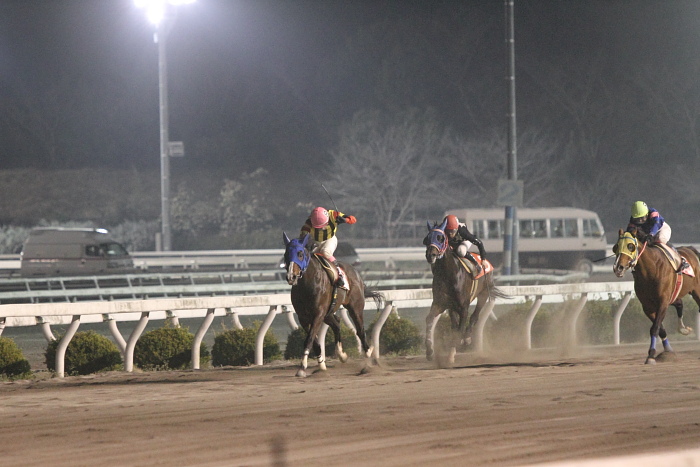 倉兼育康騎手、地方通算勝利1200勝達成！！_a0077663_2215440.jpg