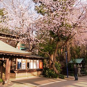 五條天神社_b0188769_22111644.jpg