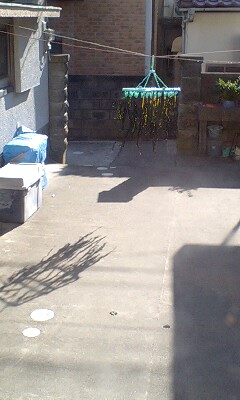 e0204372_20245544.jpg