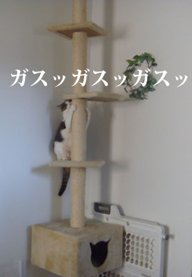 f0238772_201267.jpg