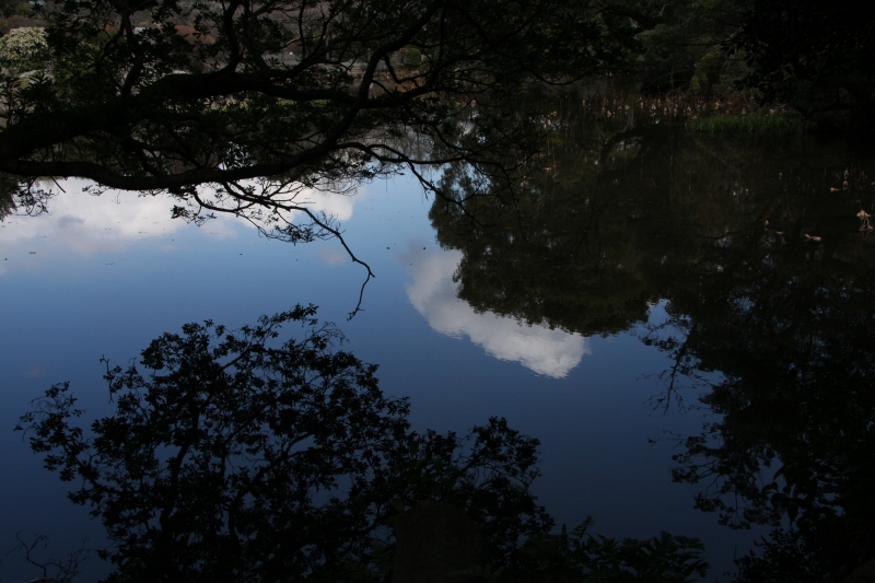 京都　勧修寺_c0196076_7301244.jpg