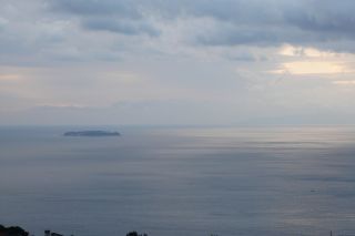 2011年3月19日 祈り_b0098584_6542958.jpg