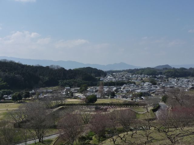 b0190092_0291137.jpg