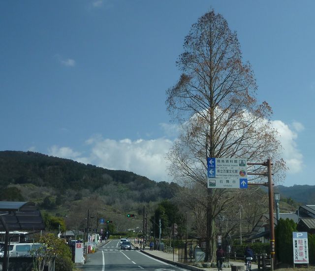 b0190092_029460.jpg