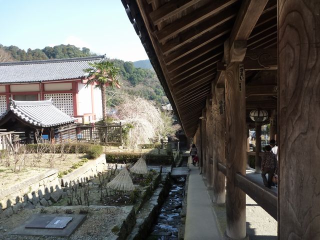 b0190092_0331753.jpg