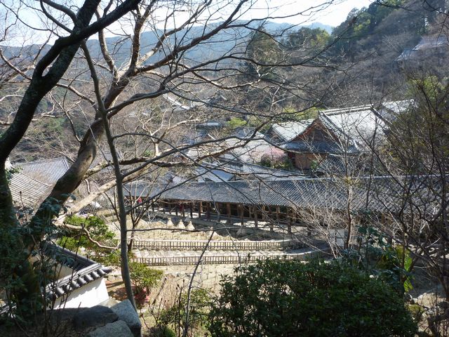 b0190092_0333989.jpg