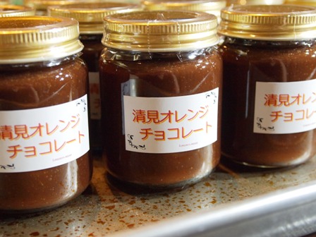 清見オレンジチョコレート_e0167593_19281.jpg