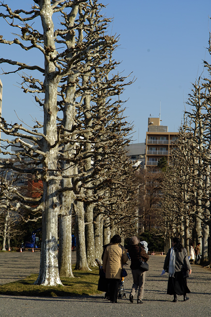 d0069398_8201441.jpg