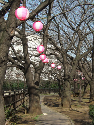 c0044199_022498.jpg