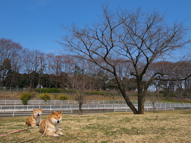 明けない夜はない_f0109601_12593867.jpg