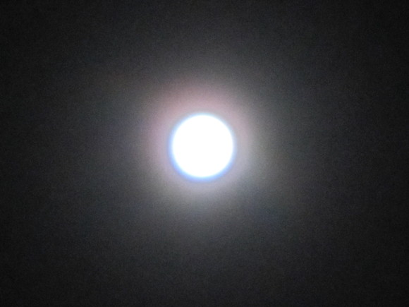 c0125702_22481623.jpg