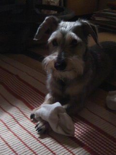 Yさんのこと_d0116009_3495218.jpg