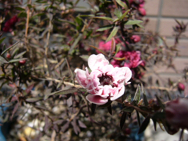 d0000324_112668.jpg
