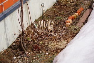 f0170524_12262146.jpg