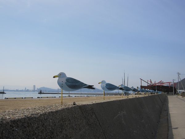 [女木島～カモメの駐車場～]_a0197729_17222048.jpg