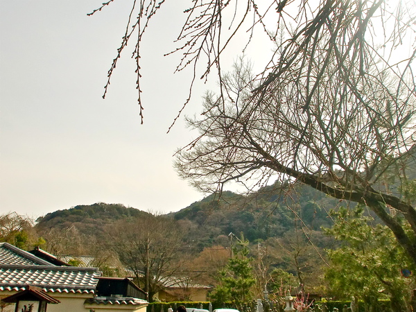 a0197730_0482214.jpg