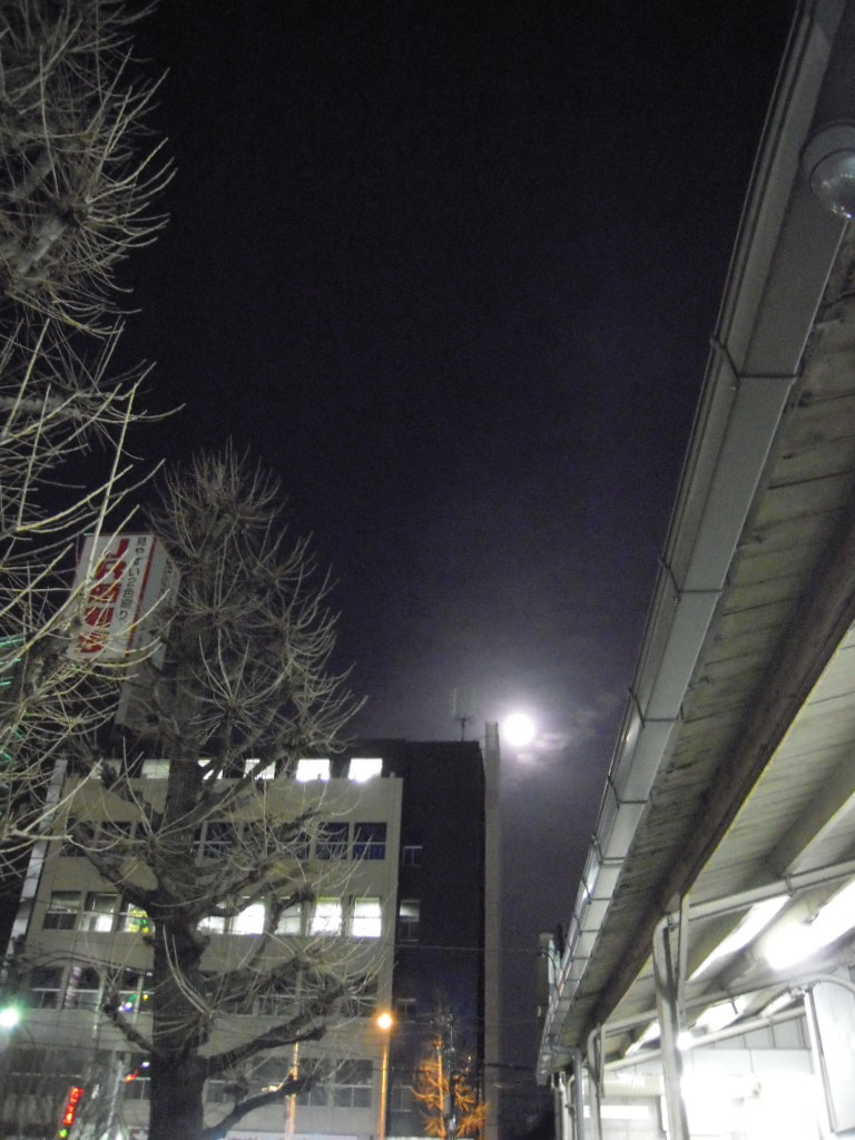 e0081334_02939.jpg