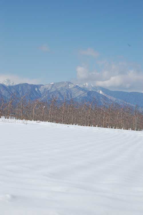 【県外酒蔵探訪 - 美寿々(みすず)酒造 (塩尻市)-】_a0005436_1516094.jpg